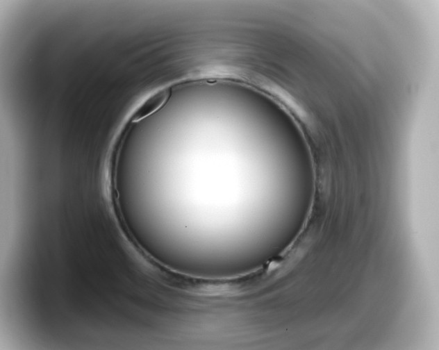 X0000099381468200805081149