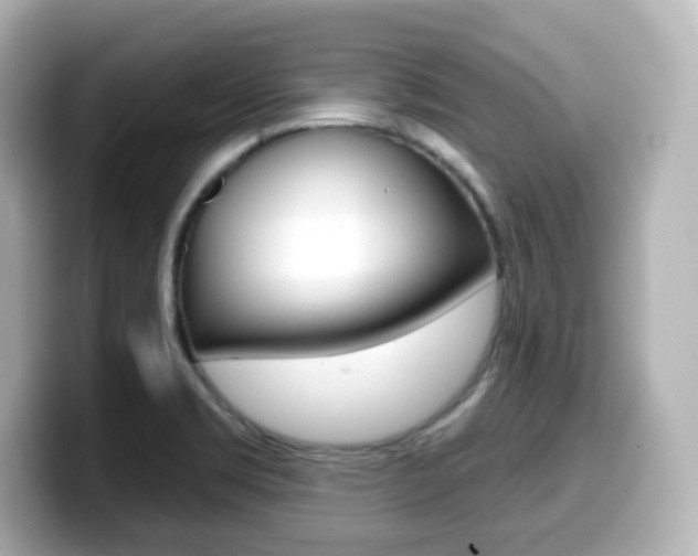 X0000099381469200805081149