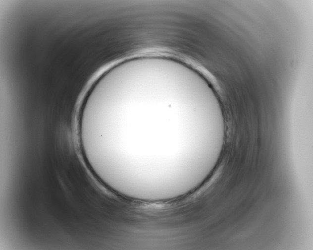 X0000099381470200805081149