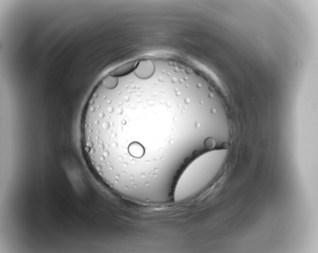 X0000099381471200805081149