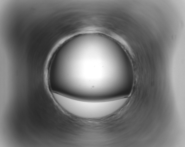 X0000099381472200805081149