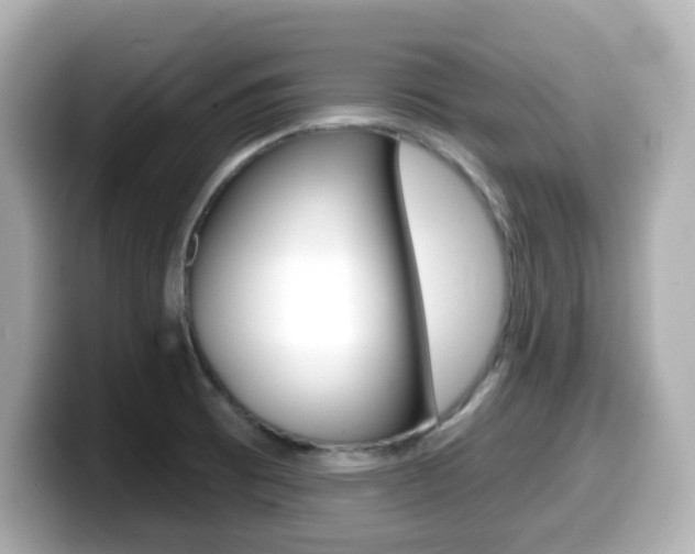 X0000099381473200805081149