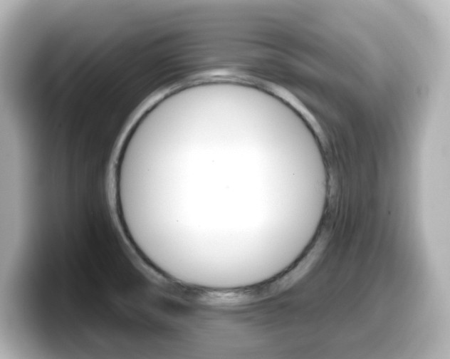 X0000099381474200805081149