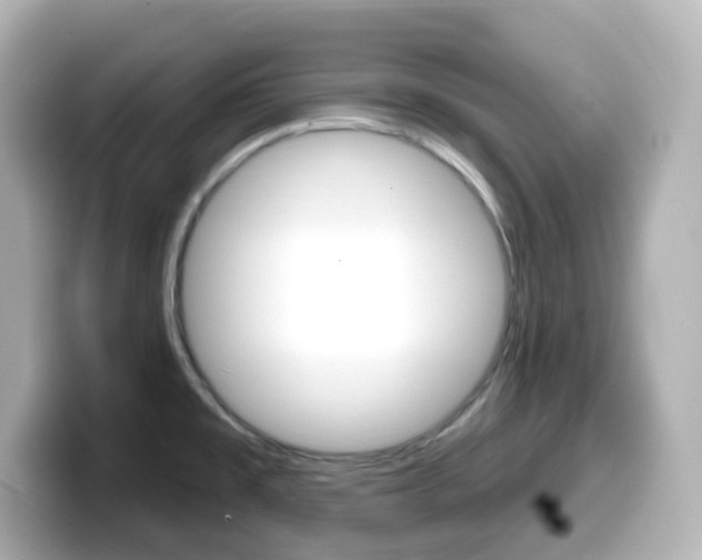 X0000099381477200805081149