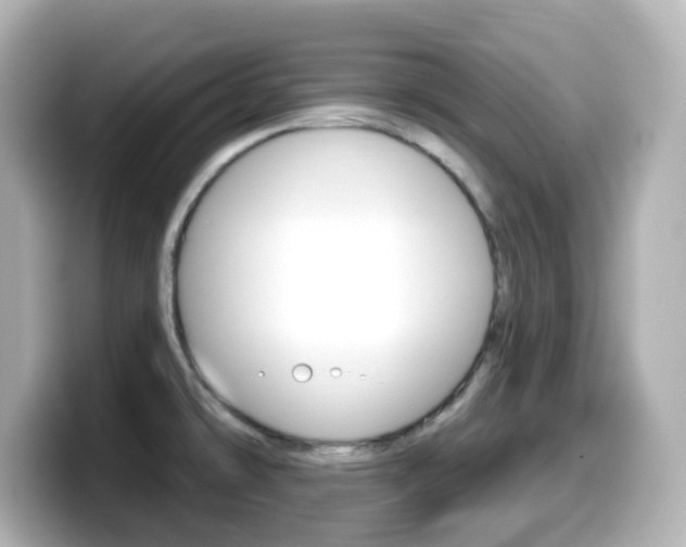 X0000099381478200805081149