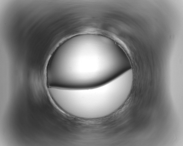 X0000099381479200805081149