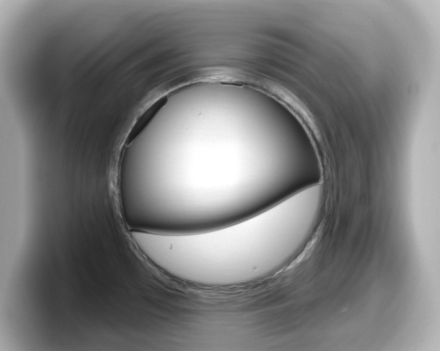 X0000099381481200805081149