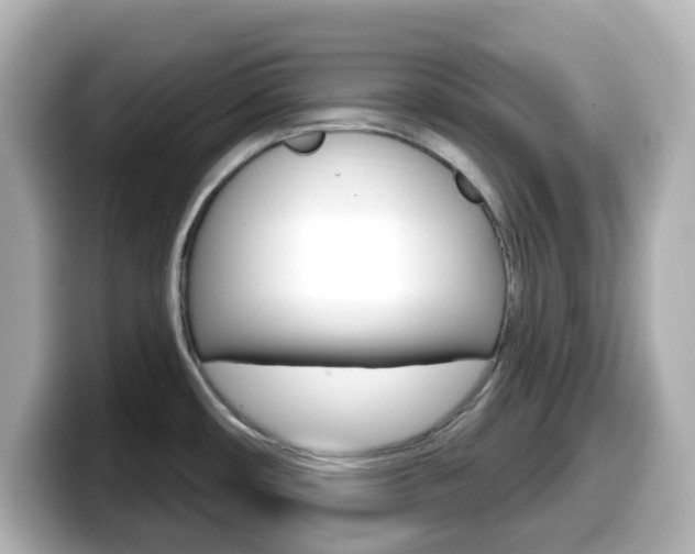 X0000099381482200805081149