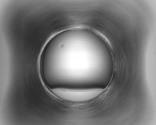 X0000099381483200805081149