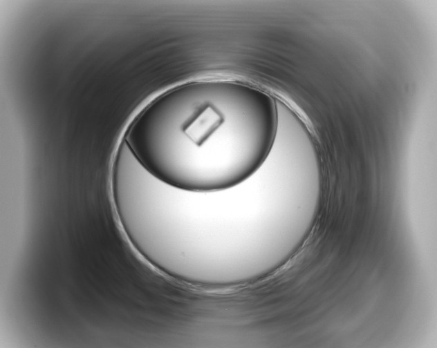 X0000099381484200805081149