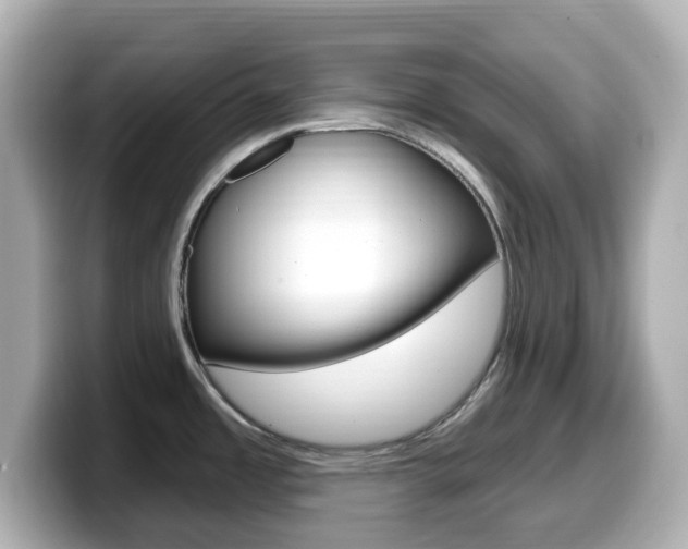 X0000099381485200805081149