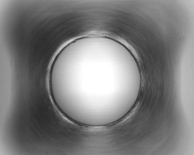 X0000099381486200805081149
