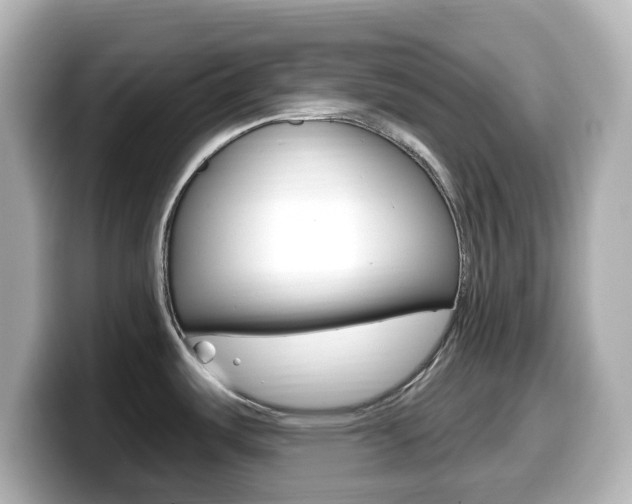 X0000099381487200805081149