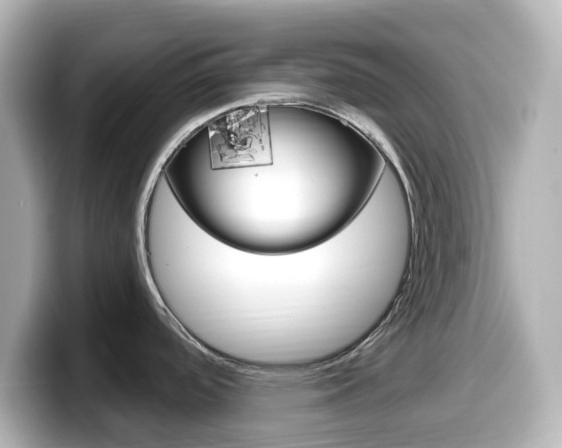 X0000099381488200805081149