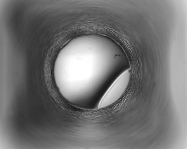 X0000099381489200805081148