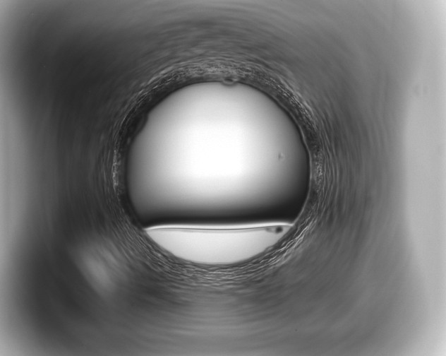 X0000099381490200805081148