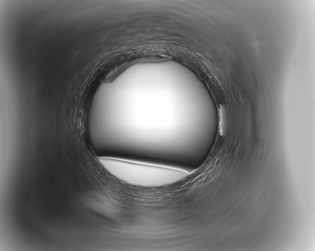 X0000099381491200805081148