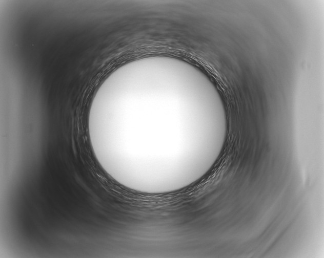 X0000099381492200805081148