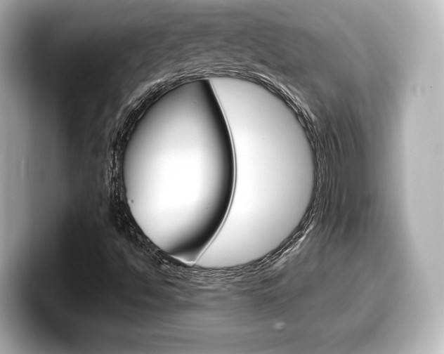 X0000099381494200805081148
