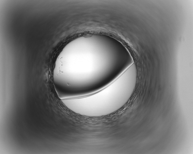 X0000099381495200805081148