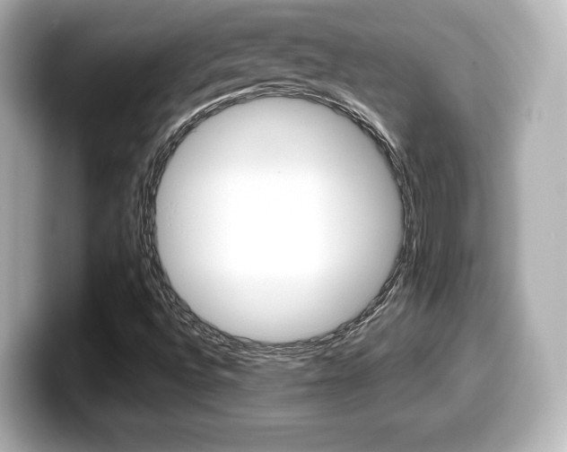 X0000099381496200805081148