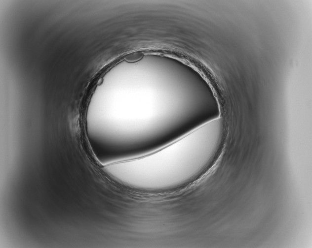 X0000099381497200805081148