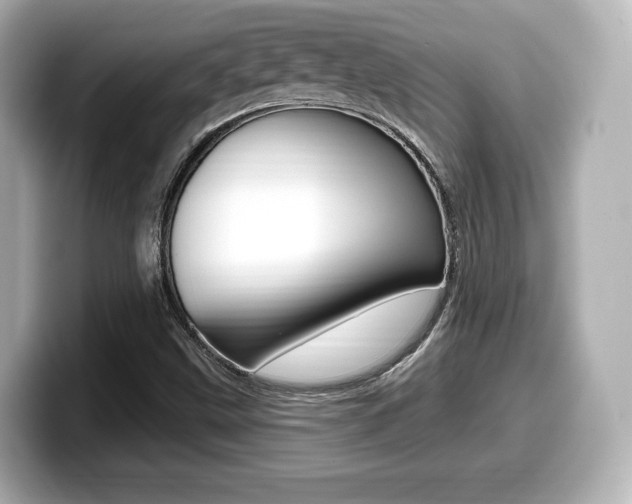 X0000099381499200805081148