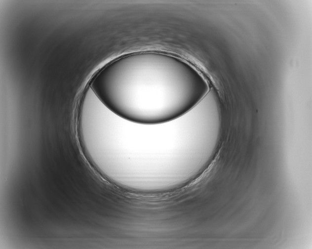 X0000099381500200805081148
