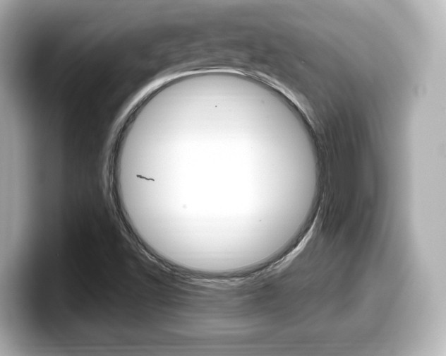 X0000099381502200805081148