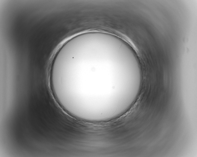 X0000099381504200805081148