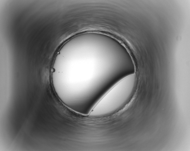 X0000099381505200805081148