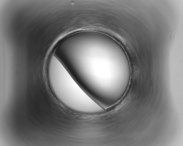 X0000099381506200805081148