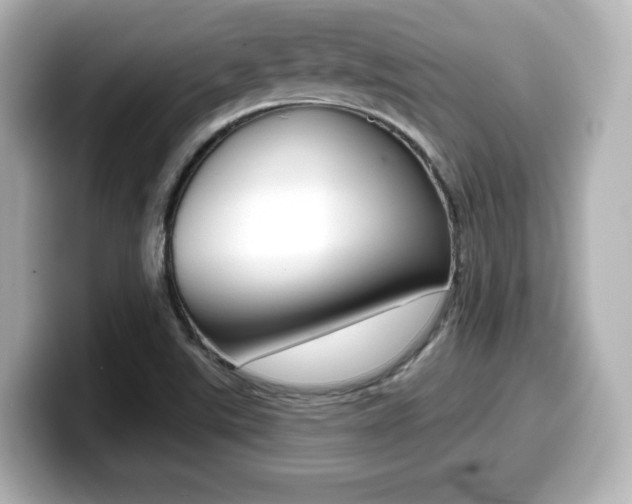 X0000099381507200805081148