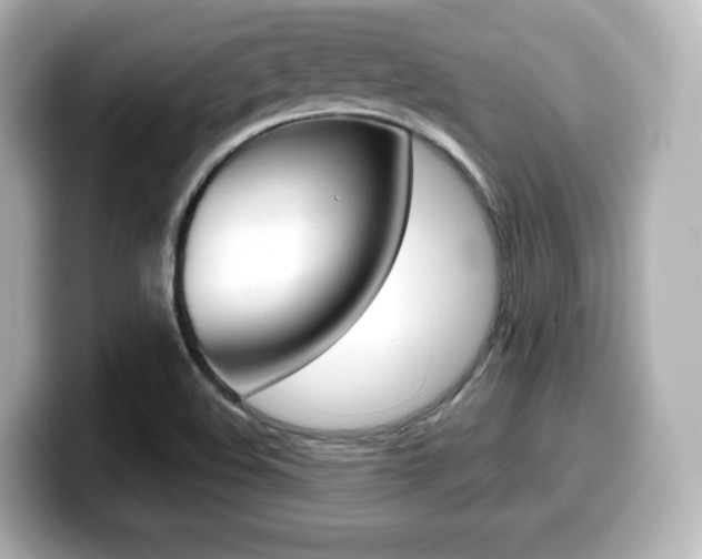 X0000099381508200805081148