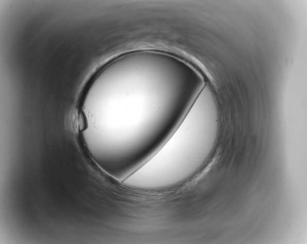 X0000099381509200805081148