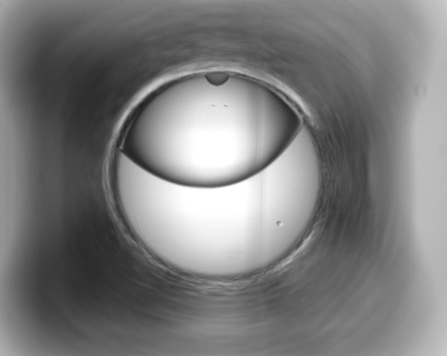 X0000099381510200805081148