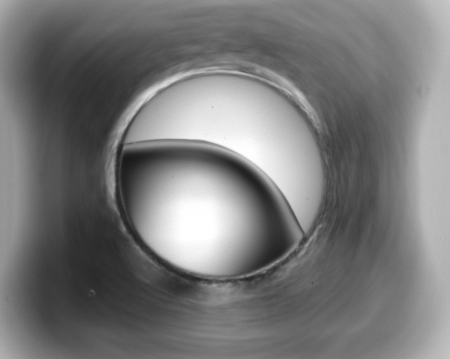 X0000099381512200805081148