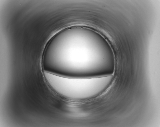X0000099381513200805081148
