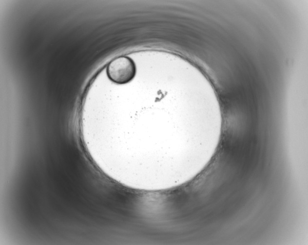 X0000099381514200805081148