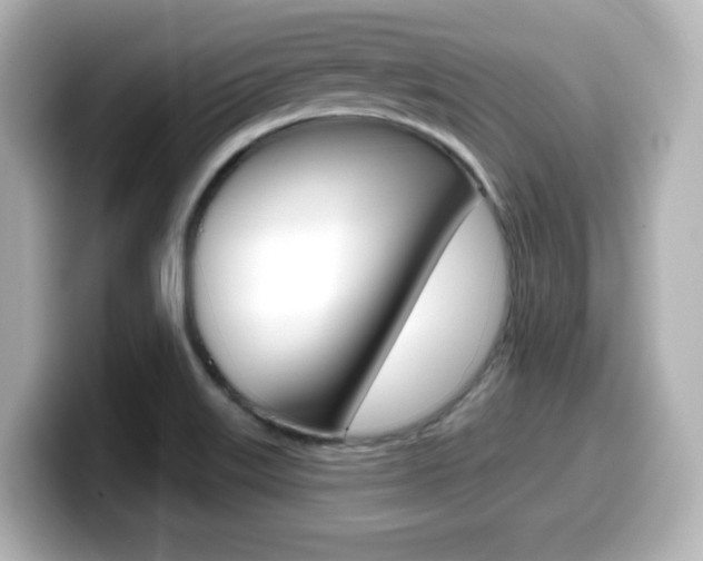 X0000099381515200805081148