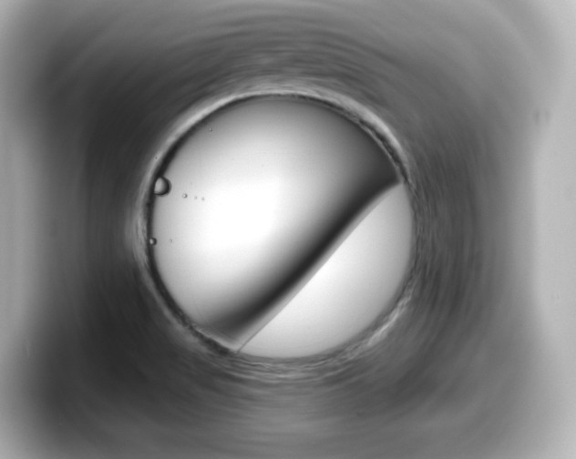 X0000099381517200805081148