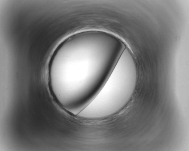 X0000099381519200805081148