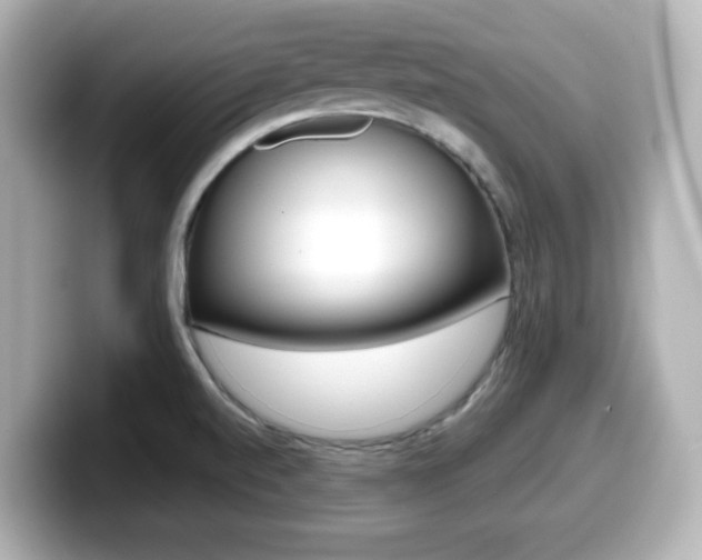 X0000099381520200805081148