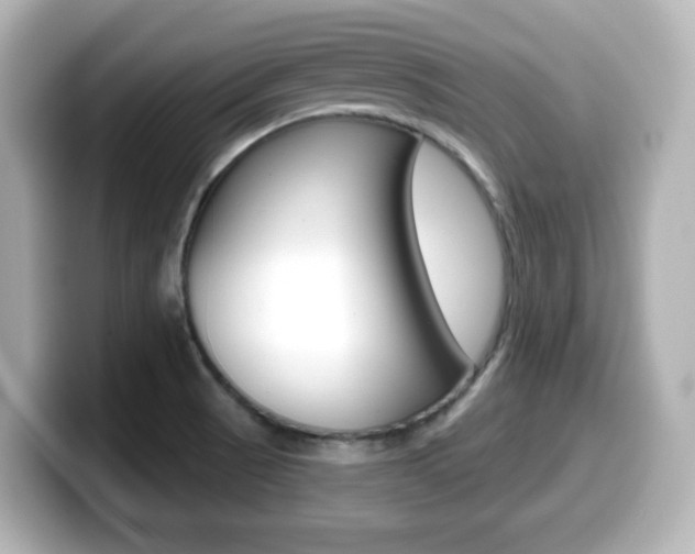 X0000099381521200805081148