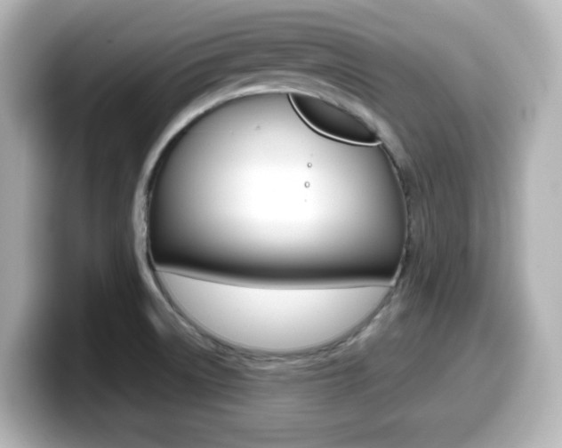 X0000099381522200805081148