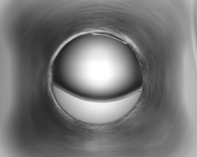 X0000099381524200805081148