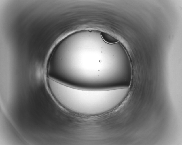 X0000099381525200805081149