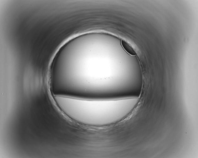 X0000099381526200805081149
