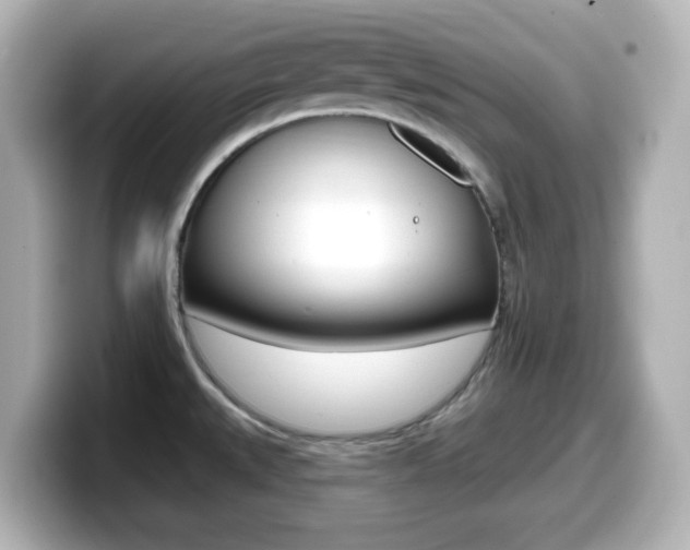 X0000099381527200805081149