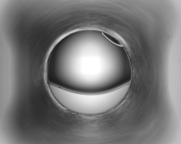 X0000099381528200805081149